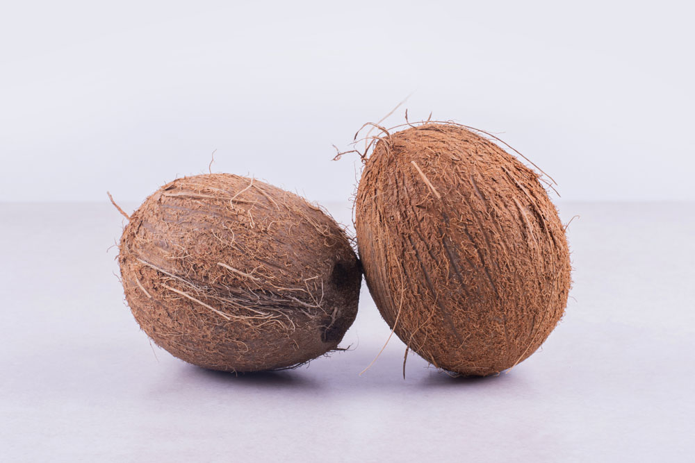 What fruit does the coconut palm produce